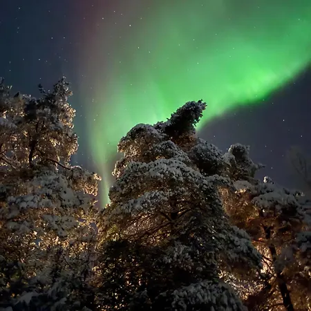 Aurora